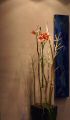 DSC008461.jpg