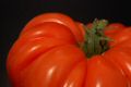 DSC017141.jpg