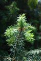 DSC059541.jpg