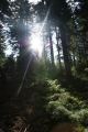 DSC022881.jpg