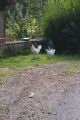 DSC022081.jpg