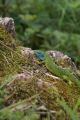 DSC028841.jpg