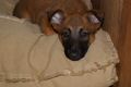 DSC048051.jpg