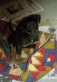 img4711.jpg