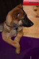 DSC051301.jpg