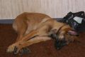 DSC052741.jpg