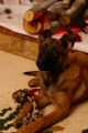 DSC052891.jpg