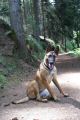DSC059451.jpg