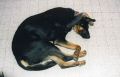 img5361.jpg