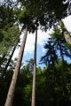 DSC029041.jpg