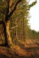 DSC022461.jpg