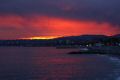 DSC050681.jpg