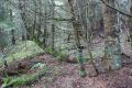 DSC022911.jpg