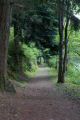 DSC028911.jpg
