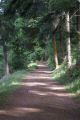 DSC059581.jpg