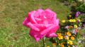 DSC_46771.jpg