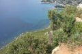 DSC020121.jpg