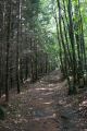 DSC021891.jpg
