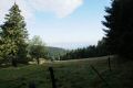 DSC022861.jpg