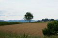 DSC028561.jpg