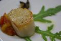 DSC006841.jpg