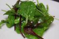 DSC007181.jpg
