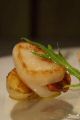 DSC050231.jpg