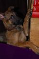 DSC051281.jpg